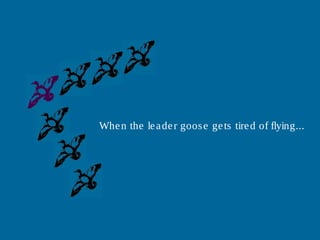When the leader goose gets tired of flying...
 