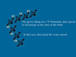 The geese flying on a “V” formation, they quack
to encourage to the ones in the front.
In that way, they keep the same speed.
 