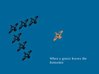 When a goose leaves the
formation..
 