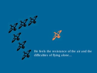 He feels the resistance of the air and the
difficulties of flying alone....
 