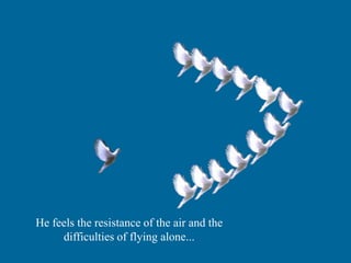 He feels the resistance of the air and the
difficulties of flying alone....
 