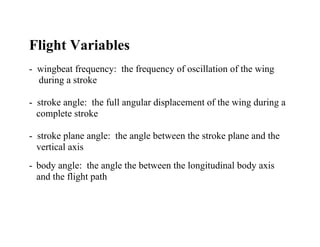 Flight Variables
- wingbeat frequency: the frequency of oscillation of the wing
  during a stroke

- stroke angle: the full angular displacement of the wing during a
  complete stroke

- stroke plane angle: the angle between the stroke plane and the
  vertical axis
- body angle: the angle the between the longitudinal body axis
  and the flight path
 
