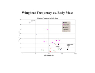 Wingbeat Frequency vs. Body Mass
                                                 Wingbeat Frequency vs. Body Mass
                          350
                                     mosquito

                                                                                                      Diptera

                          300                                                                         Hymenoptera
                                                                                                      Lepidoptera
                                                                                                      Coleoptera
                          250                                                                         Neuroptera
                                                                                                      Odonata
Wingbeat Frequency (Hz)




                          200




                          150




                          100
                                                                                                                Lucanus corvus
                                                                                                                (beetle)
                                                                                   dragonfly
                          50




                           0
                                1           10                     100                         1000                              10000
                                                           Insect Body Mass (mg)
 