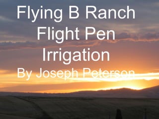 Flying B Ranch
Flight Pen
Irrigation
By Joseph Peterson
 
