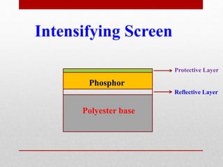 Polyester base
Reflective Layer
Phosphor
Protective Layer
Intensifying Screen
 