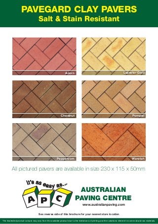 PAVEGARD CLAY PAVERS
Salt & Stain Resistant
The illustrated product colours may vary from the available product due to the limitations of printing and the variations inherent in some natural raw materials.
AUSTRALIAN
PAVING CENTRE
www.australianpaving.com
See reverse side of this brochure for your nearest store location
All pictured pavers are available in size 230 x 115 x 50mm
Chestnut
Peppercorn
Pompeii
Waratah
Acorn Lasseter Gold
 