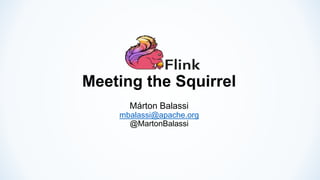 Meeting the Squirrel
Márton Balassi
mbalassi@apache.org
@MartonBalassi
 