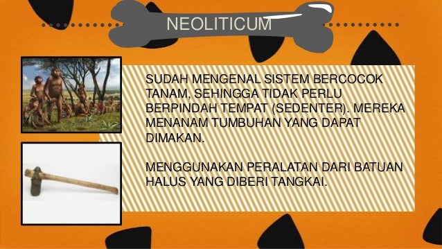 Manusia Purba Zaman Batu