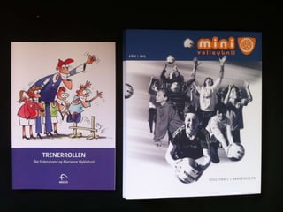Flint volley trener1_2011