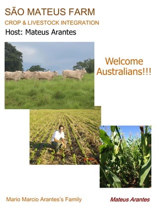 SÃO MATEUS FARM
CROP & LIVESTOCK INTEGRATION

Host: Mateus Arantes

Welcome
Australians!!!

Mario Marcio Arantes’s Family

Mateus Arantes

 