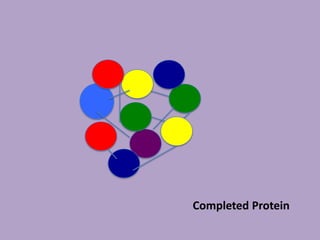 Completed Protein
 