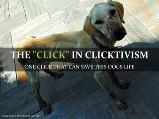 THE "CLICK" IN CLICKTIVISM
ONE CLICK THAT CAN SAVE THIS DOGS LIFE
Image Source: Wonderlane via Flickr
 