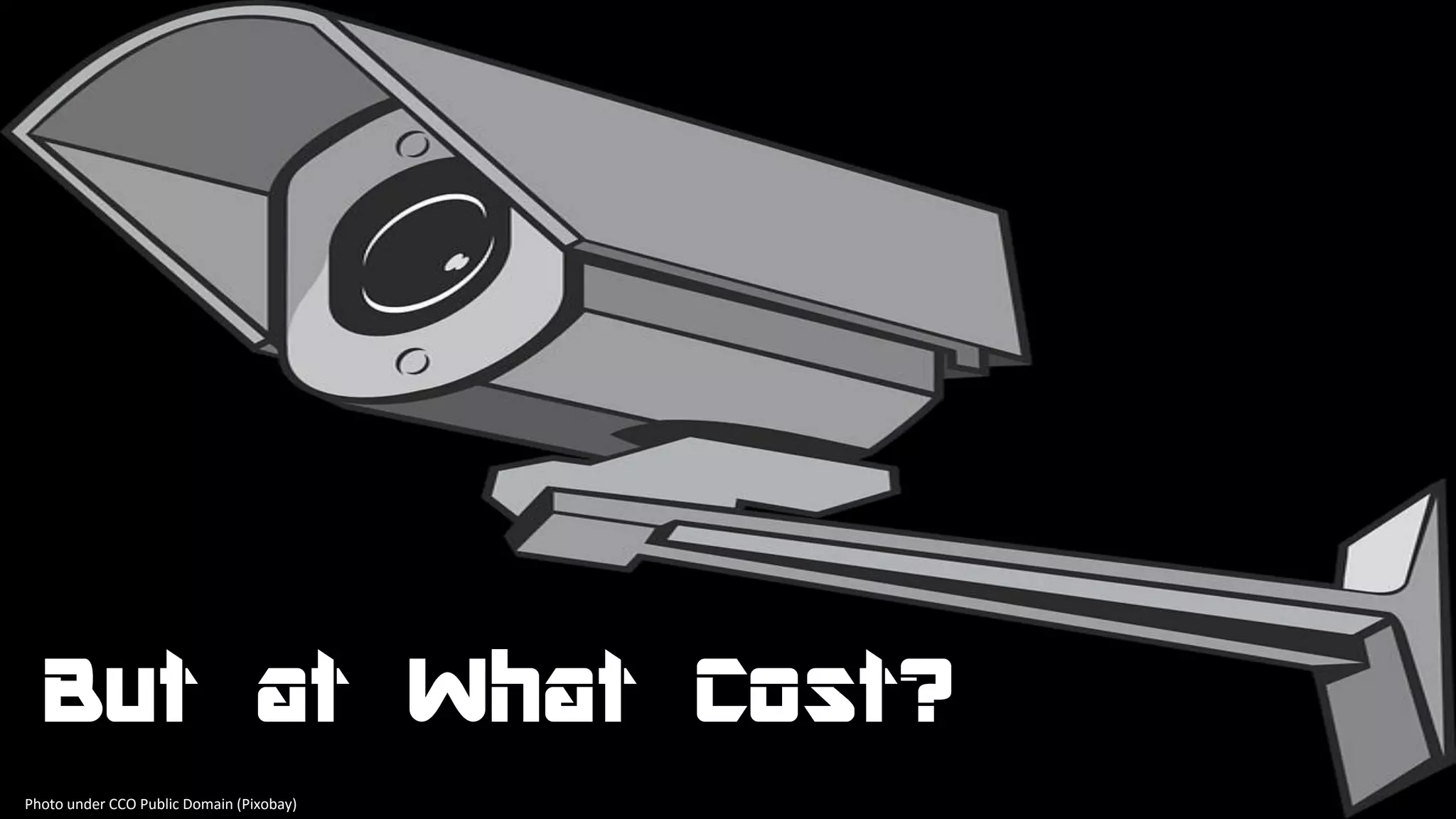 But at What Cost?
Photo under CCO Public Domain (Pixobay)
 