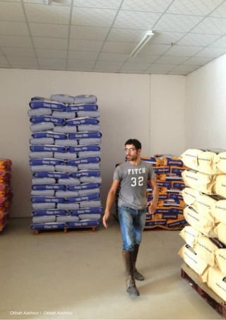 Okbah Aashour / Okbah Aashour
 