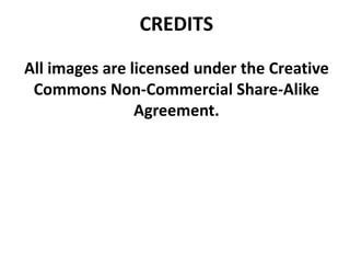 CREDITS
All images are licensed under the Creative
Commons Non-Commercial Share-Alike
Agreement.
 