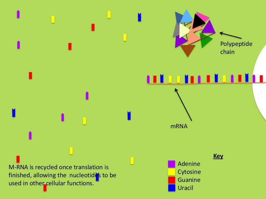 Flip book powerpoint