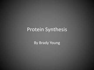 Protein Synthesis
By Brady Young

 