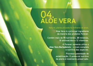 04.
ALOE VERA
  Natural, planta utilizada há milhares de anos.
          Aloe Vera é o principal ingrediente
           da maioria dos produtos Forever.
 Contém mais de 75 nutrientes, 20 minerais,
           18 aminoácidos e 12 vitaminas.
                A Forever somente utiliza a
   Aloe Vera Barbadensis – a mais completa
                   e nutritiva das espécies.
                     Processo patenteado de
          estabilização. O potencial nutritivo
          da planta é totalmente preservado.
 