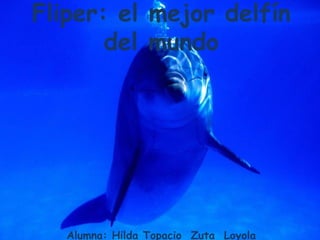 Fliper: el mejor delfín del mundoAlumna: Hilda Topacio  Zuta Loyola 