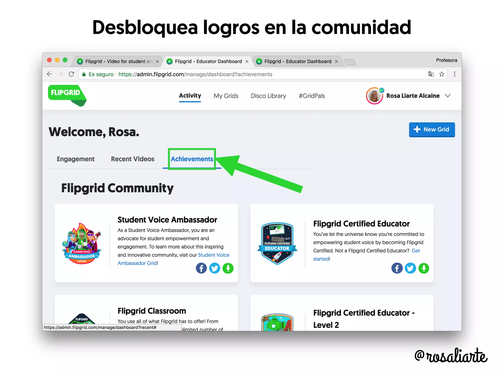 @rosaliarte
Desbloquea logros en la comunidad
 
