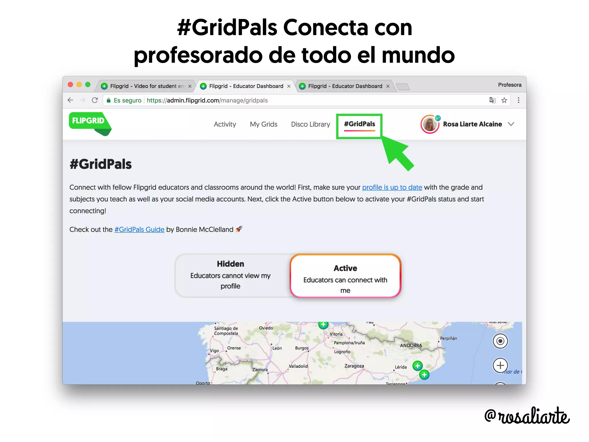 @rosaliarte
#GridPals Conecta con
profesorado de todo el mundo
 