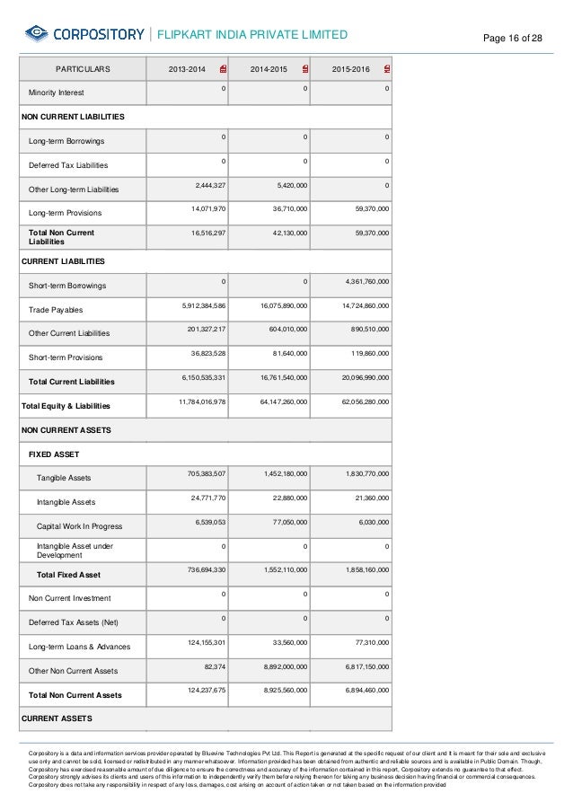 flipkart india private limited company report blank p&l