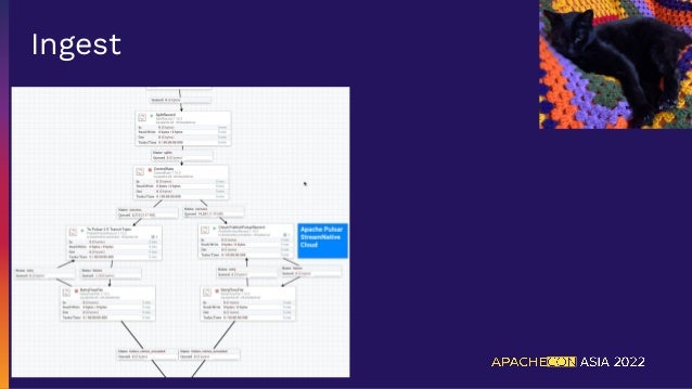 Ingest
 