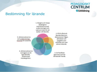 Bedömning för lärande
 