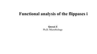 Functional analysis of the flippases i
Qussai Z
Ph.D. Microbiology
 