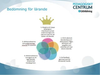 Bedömning för lärande
 