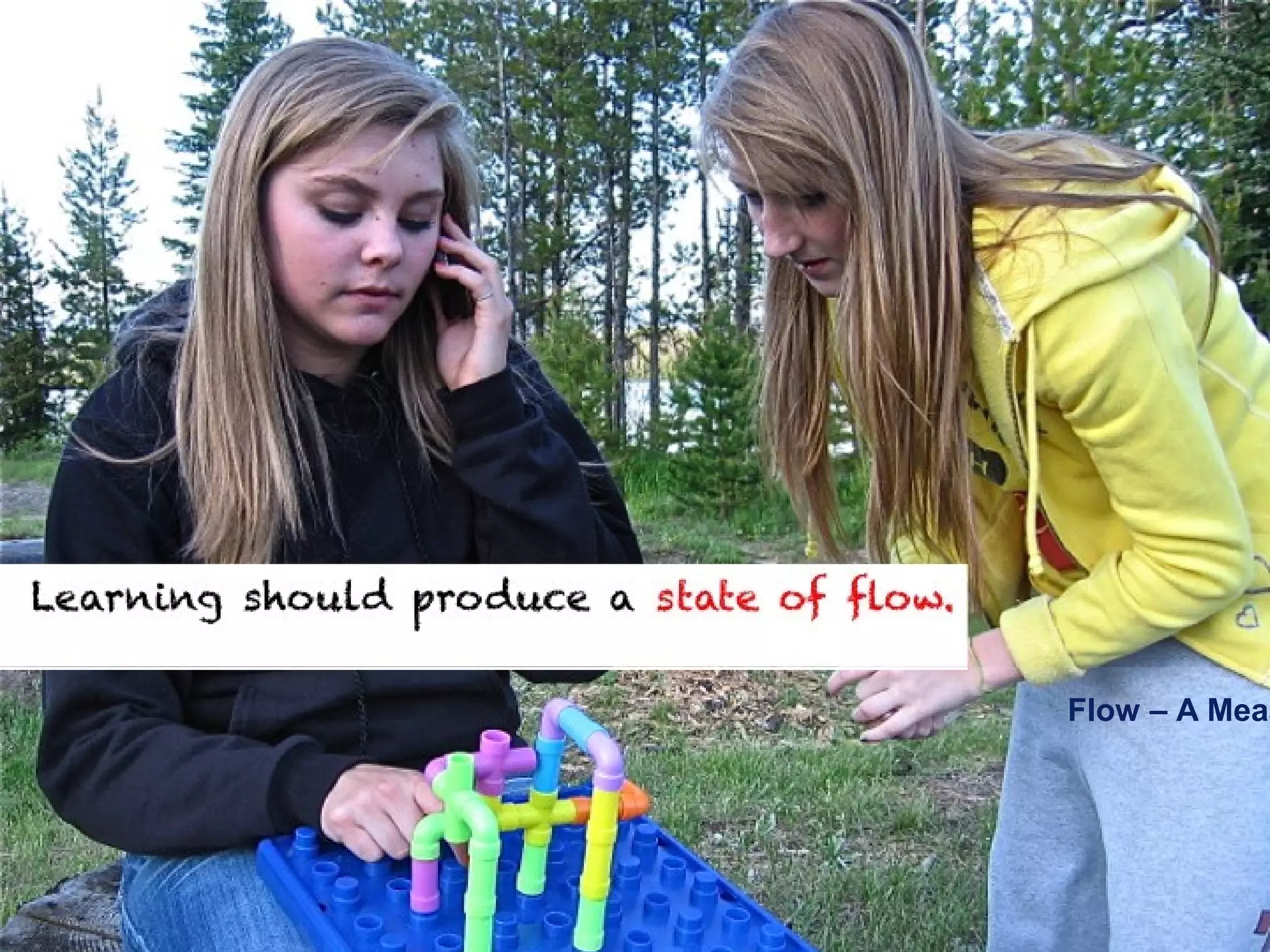 Learning should produce a state of flow.




         Flow – A Measure of Student Engagement
 