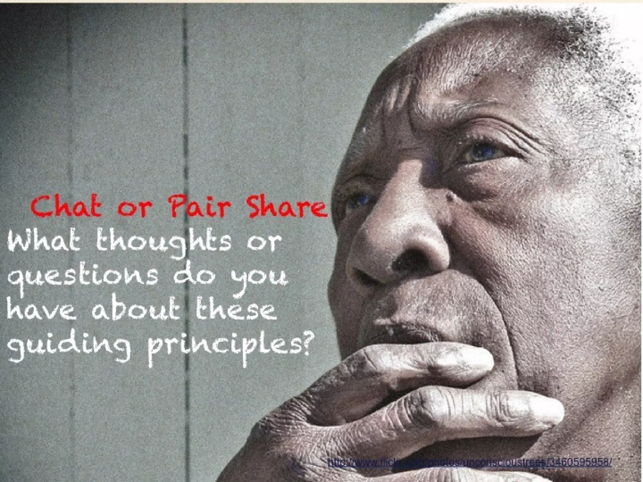 Chat or Pair Share
What thoughts or
questions do you have
about these guiding
principles?


                         http://www.flickr.com/photos/unconscioustrees/3460595958/
 