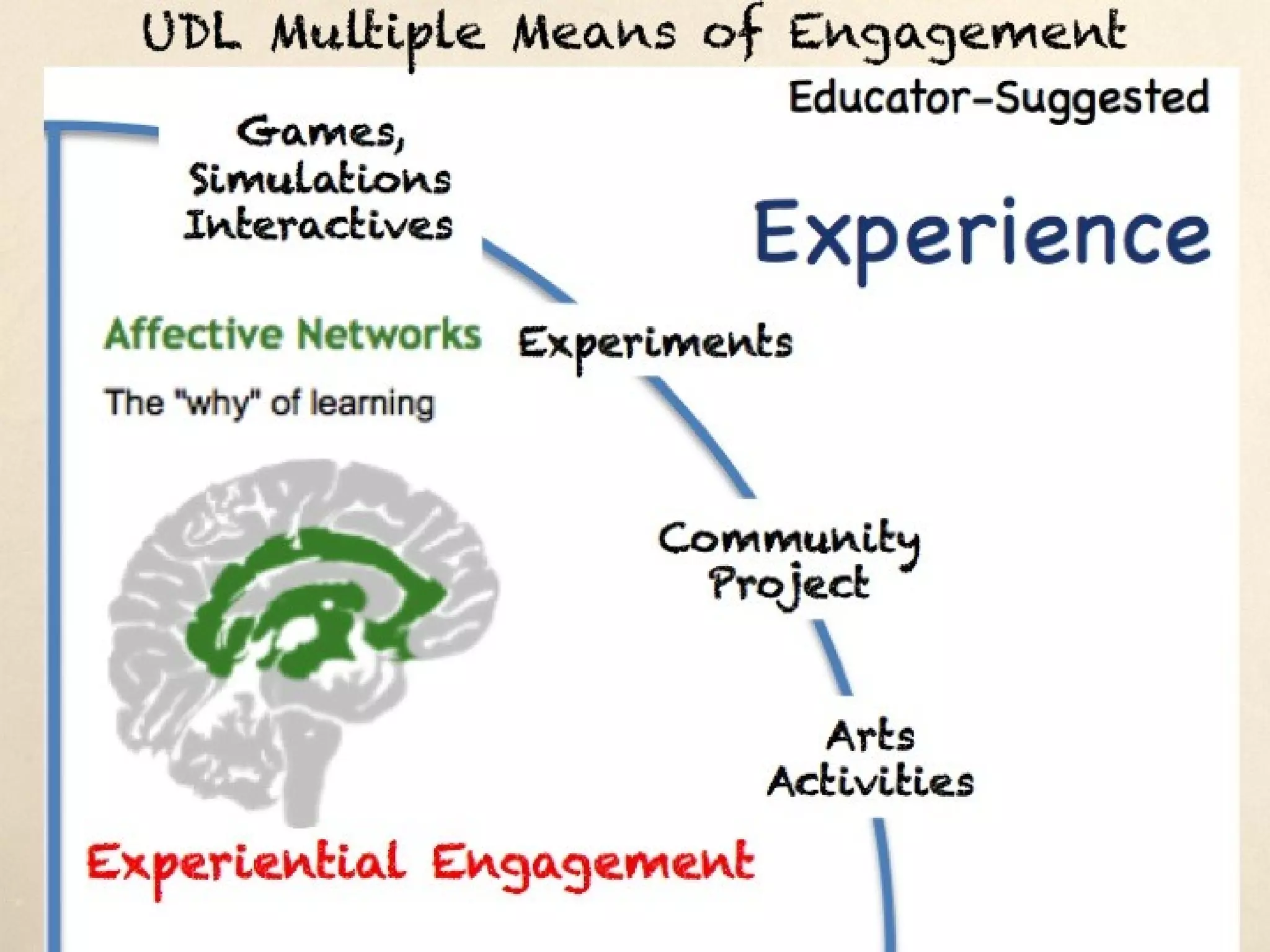 UDL Multiple Means of Engagement
 