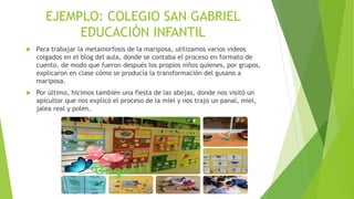  Para trabajar la metamorfosis de la mariposa, utilizamos varios vídeos
colgados en el blog del aula, donde se contaba el proceso en formato de
cuento, de modo que fueron después los propios niños quienes, por grupos,
explicaron en clase cómo se producía la transformación del gusano a
mariposa.
 Por último, hicimos también una fiesta de las abejas, donde nos visitó un
apicultor que nos explicó el proceso de la miel y nos trajo un panal, miel,
jalea real y polen.
EJEMPLO: COLEGIO SAN GABRIEL
EDUCACIÓN INFANTIL
 