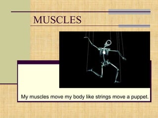 MUSCLESMUSCLES
MUSCLES
My muscles move my body like strings move a puppet.
 