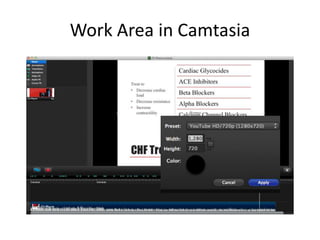Work Area in Camtasia

 