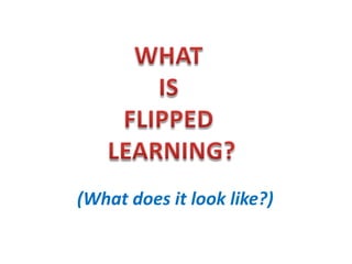 (What does it look like?)
 