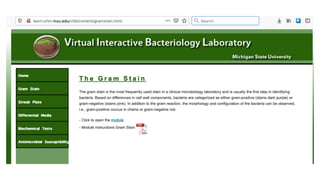 Flipped Learning in Microbiology
