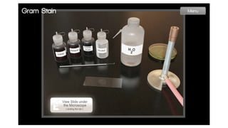 Flipped Learning in Microbiology