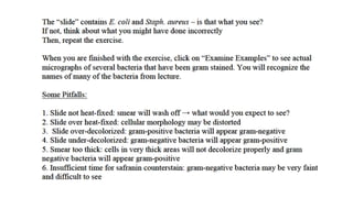 Flipped Learning in Microbiology
