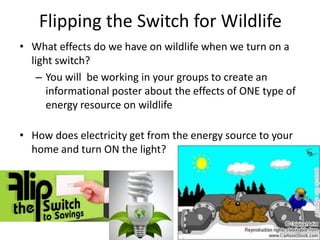 Flipping the Switch for Wildlife What effects do we have on wildlife when we turn on a light switch? You will  be working in your groups to create an informational poster about the effects of ONE type of energy resource on wildlife How does electricity get from the energy source to your home and turn ON the light? 