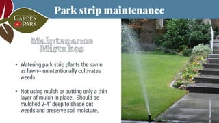 Creating Waterwise Park Strips