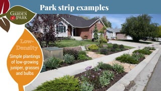Creating Waterwise Park Strips