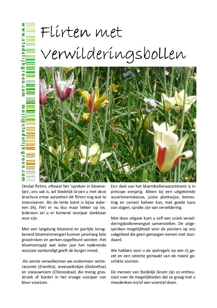 Flirten nett