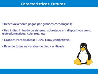 Características Futuras




 Desenvolvedores pagos por grandes corporações;

 Uso indiscriminado do sistema, sobretudo em dispositivos como
eletrodomésticos, celulares, etc;

 Grandes Participantes: 100% Linux compatíveis;

 Base de todas as versões de Linux unificada.
 