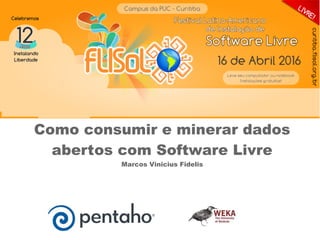 Como consumir e minerar dados
abertos com Software Livre
Marcos Vinicius Fidelis
 