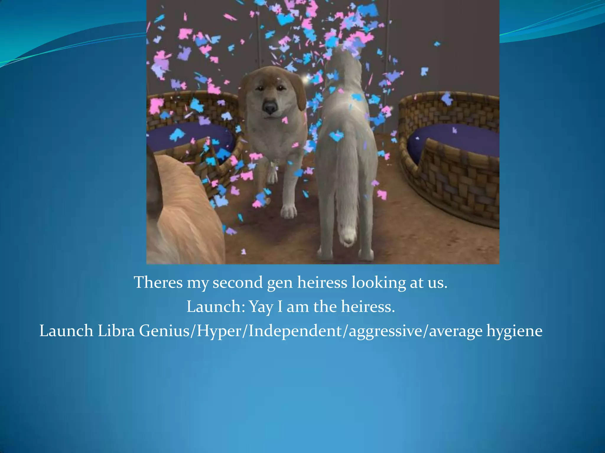 Theres my second gen heiress looking at us.Launch: Yay I am the heiress.Launch Libra Genius/Hyper/Independent/aggressive/average hygiene