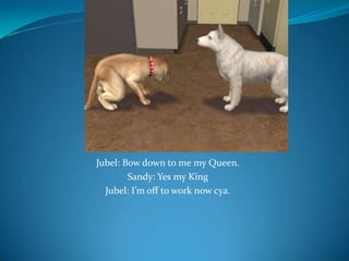 Jubel: Bow down to me my Queen.Sandy: Yes my KingJubel: I’m off to work now cya.