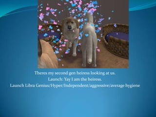 Theres my second gen heiress looking at us.Launch: Yay I am the heiress.Launch Libra Genius/Hyper/Independent/aggressive/average hygiene