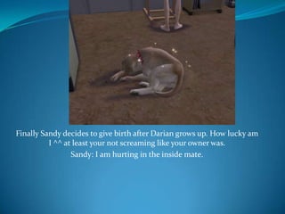 Finally Sandy decides to give birth after Darian grows up. How lucky am I ^^ at least your not screaming like your owner was.Sandy: I am hurting in the inside mate.